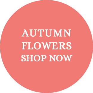 shop autumn flowers
